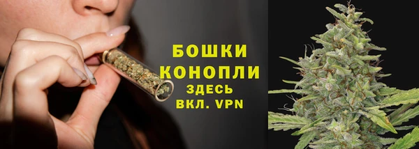 spice Арсеньев
