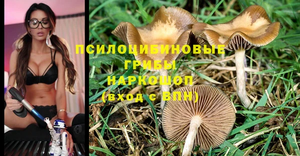 соль ск Алексеевка